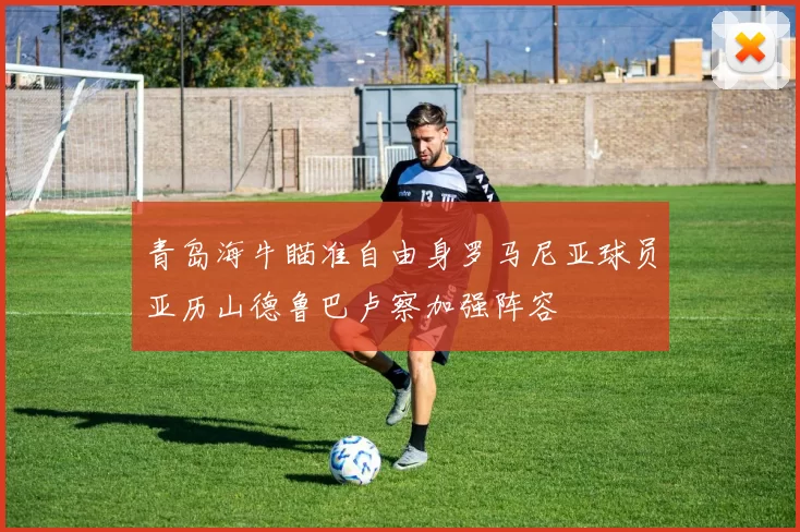 青岛海牛瞄准自由身罗马尼亚球员亚历山德鲁巴卢察加强阵容